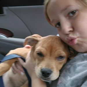 Meet your Posher, Lucy